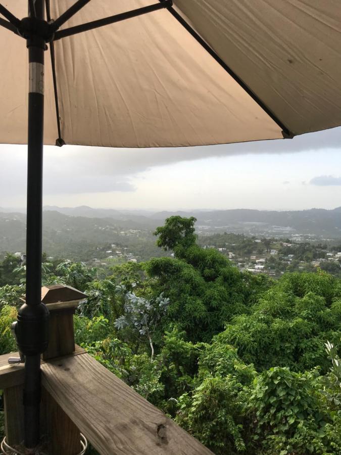 Camping Para Dos - A Escoger Segun Disponibilidad De Caseta O Cabana Caguas Exterior foto