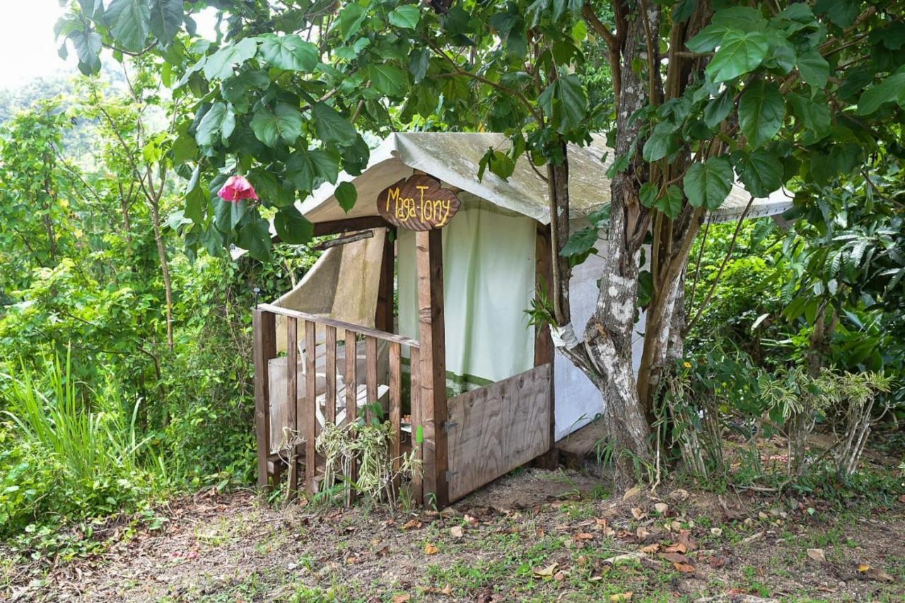 Camping Para Dos - A Escoger Segun Disponibilidad De Caseta O Cabana Caguas Exterior foto