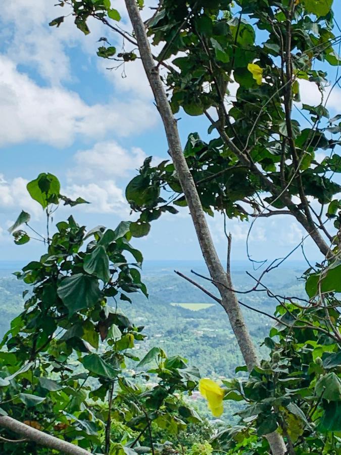 Camping Para Dos - A Escoger Segun Disponibilidad De Caseta O Cabana Caguas Exterior foto