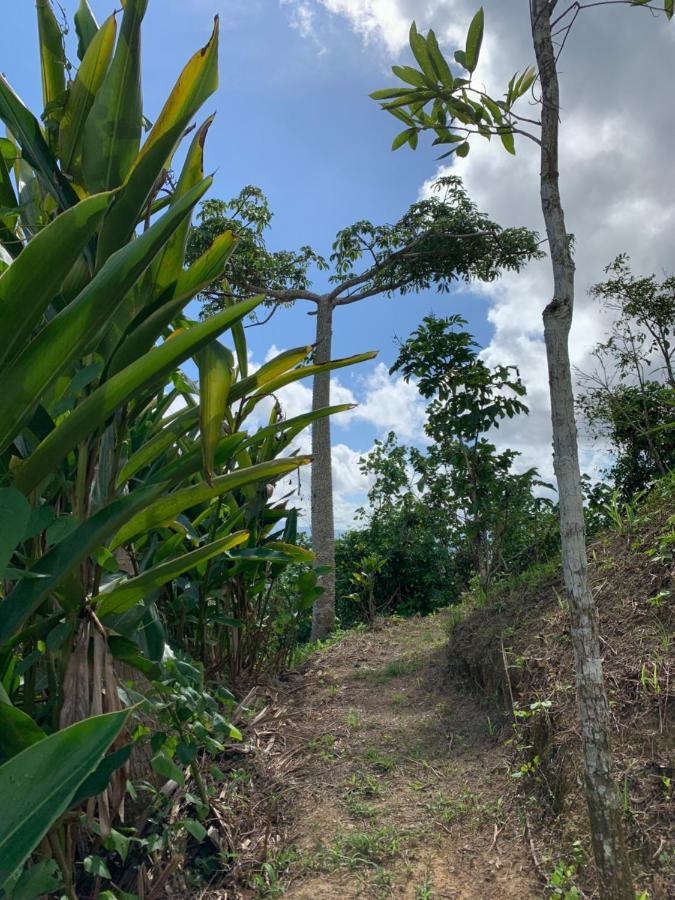 Camping Para Dos - A Escoger Segun Disponibilidad De Caseta O Cabana Caguas Exterior foto