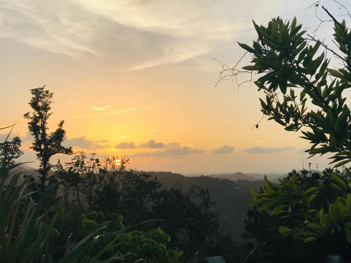 Camping Para Dos - A Escoger Segun Disponibilidad De Caseta O Cabana Caguas Exterior foto