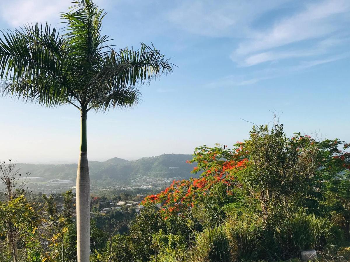 Camping Para Dos - A Escoger Segun Disponibilidad De Caseta O Cabana Caguas Exterior foto
