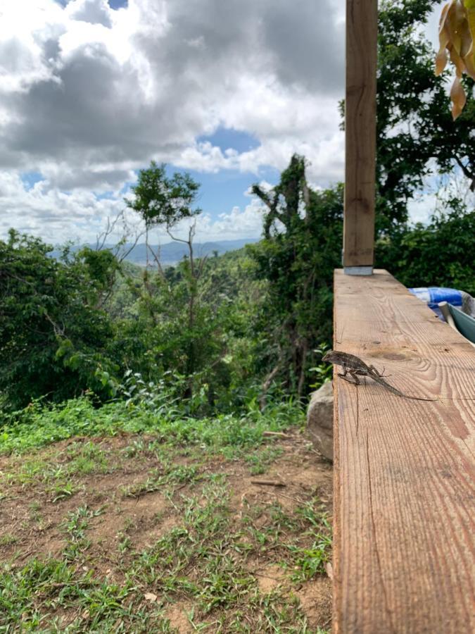 Camping Para Dos - A Escoger Segun Disponibilidad De Caseta O Cabana Caguas Exterior foto