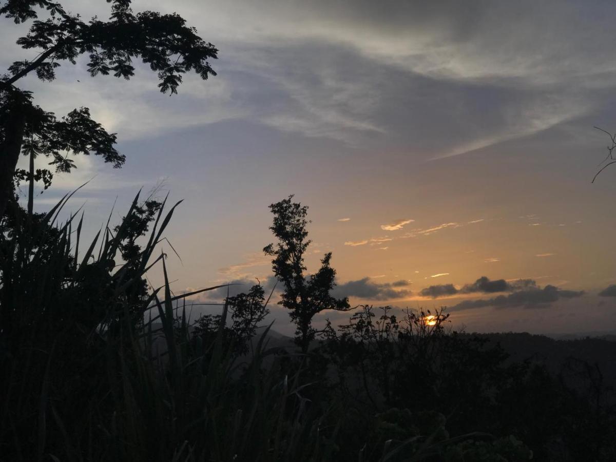 Camping Para Dos - A Escoger Segun Disponibilidad De Caseta O Cabana Caguas Exterior foto