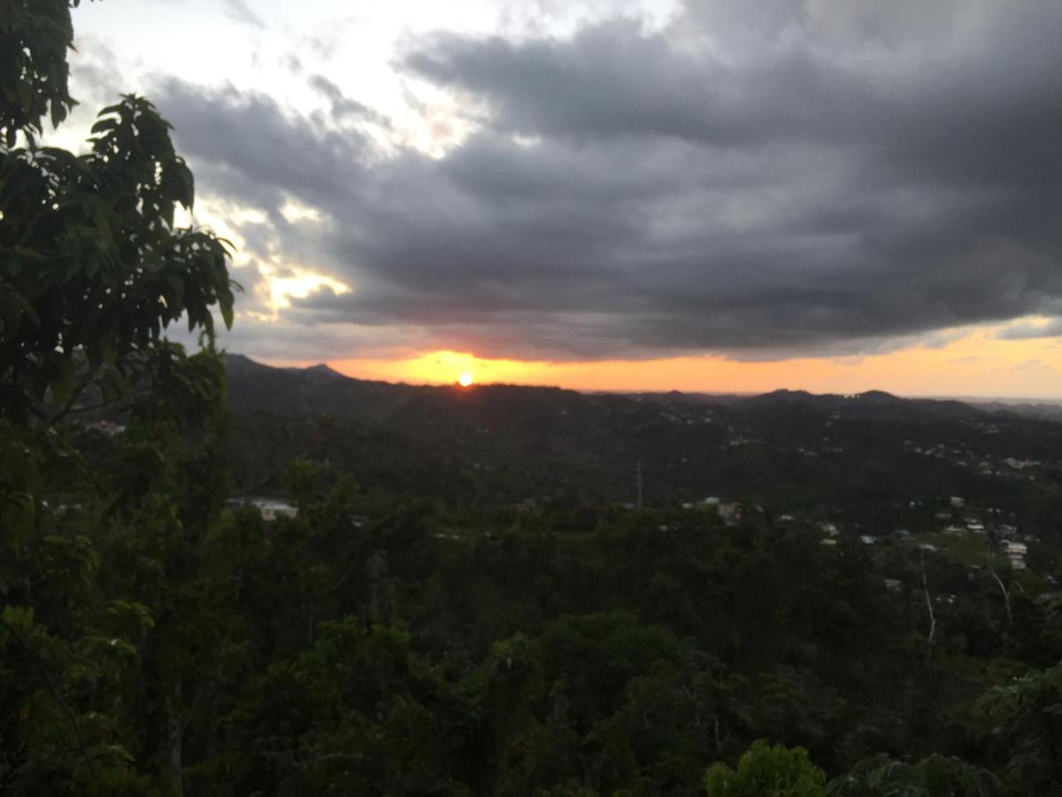 Camping Para Dos - A Escoger Segun Disponibilidad De Caseta O Cabana Caguas Exterior foto