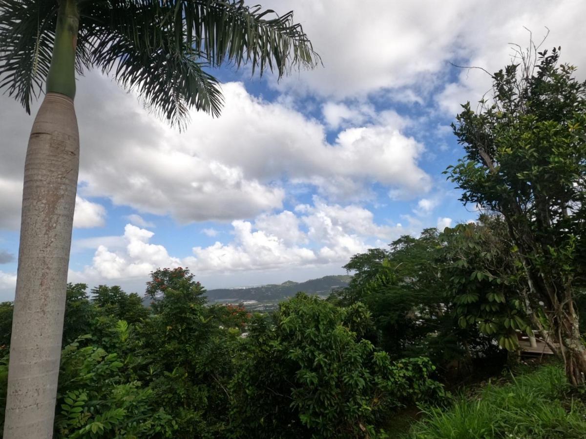 Camping Para Dos - A Escoger Segun Disponibilidad De Caseta O Cabana Caguas Exterior foto